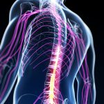 tratamiento lesion medular madrid