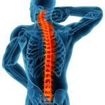 tratamiento lesion medular madrid